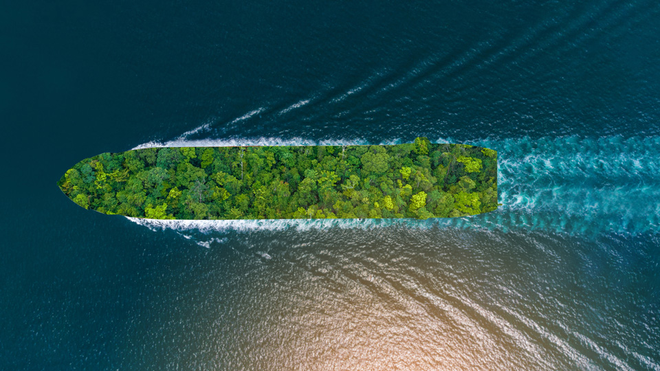 Aerial view of a ship with a forest-covered deck sailing through the ocean.